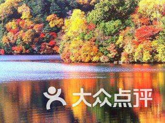 埃利的时装周
