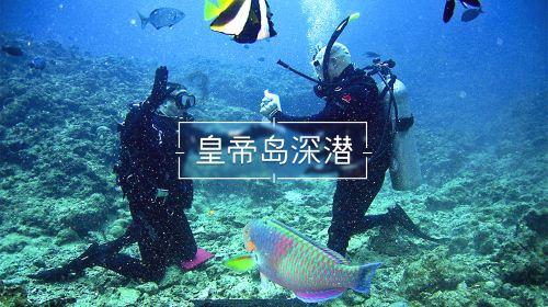 最大的数是19最小的数是1它们的差是多少？游戏画面
